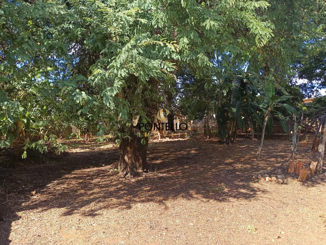 Casa, 4 quartos, 207 m² - Foto 20