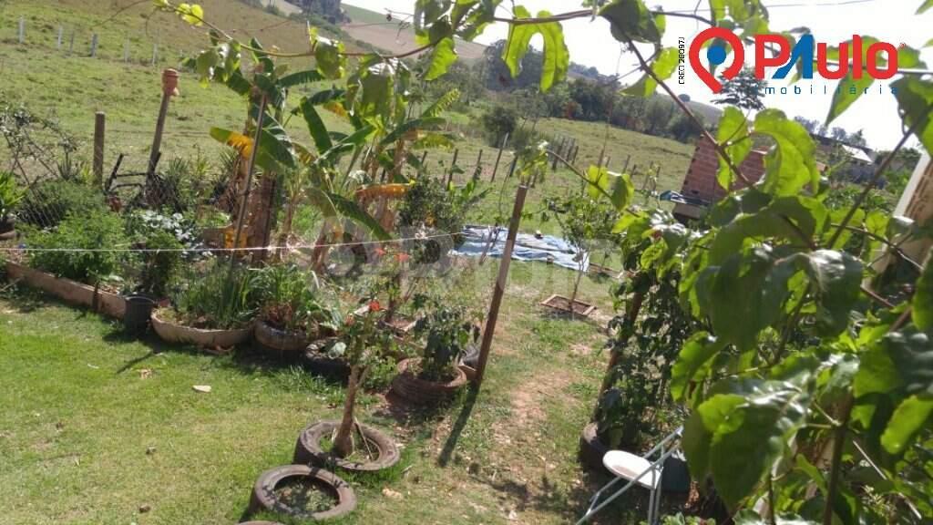 Chácara / Sítios / Fazenda à venda no Pau D'Alhinho: 