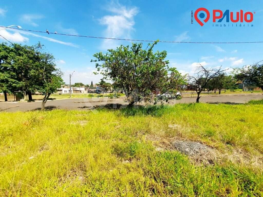 Terreno / Lotes à venda no Paulicéia: 
