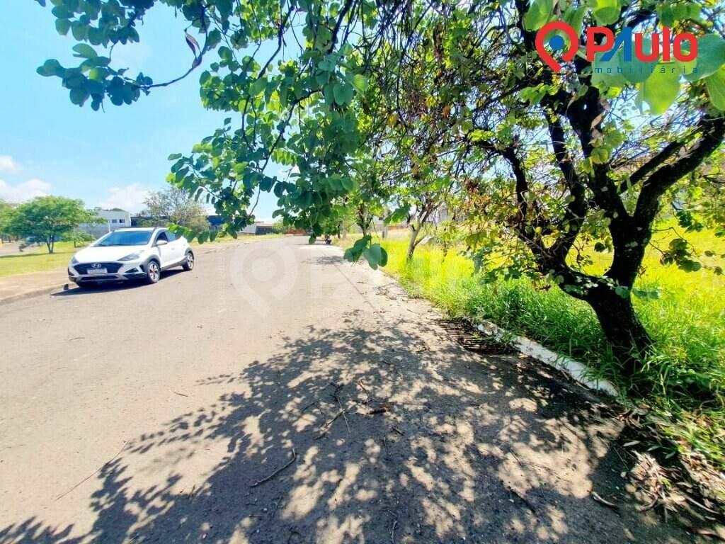 Terreno / Lotes à venda no Paulicéia: 