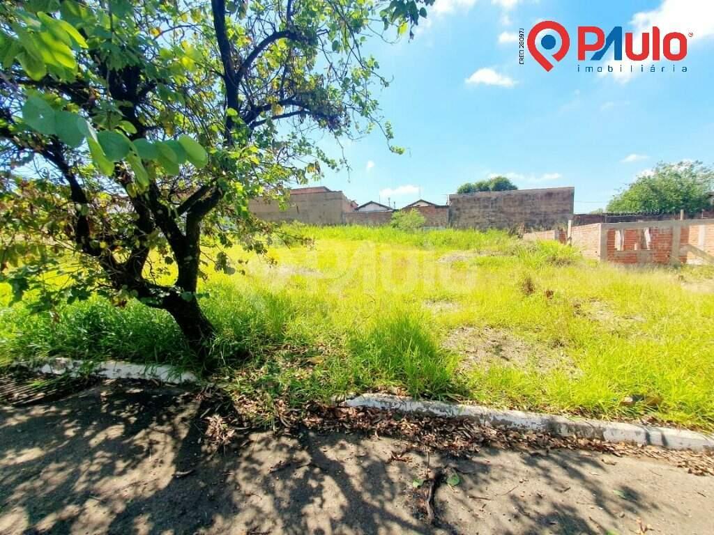 Terreno / Lotes à venda no Paulicéia: 