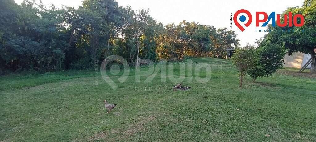 Chácara / Sítios / Fazenda à venda no Jupiá: QUINTAL
