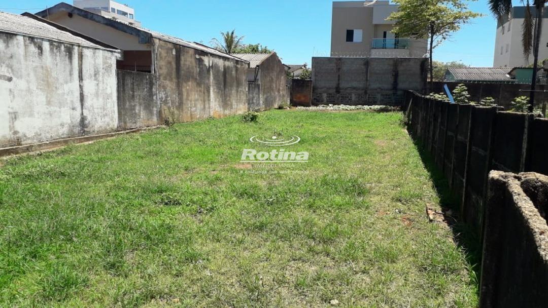 Terreno à venda, em Uberlândia no bairro Brasil no valor de R$ 290.000,00 - Rotina Imobiliária: 