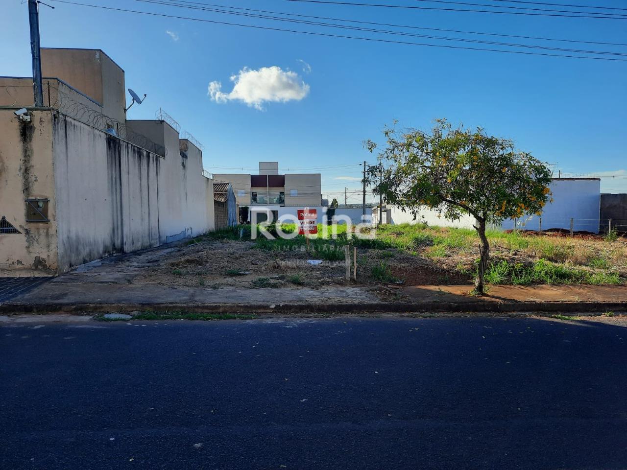 Terreno à venda, em Uberlândia no bairro Santa Rosa no valor de R$ 320.000,00 - Rotina Imobiliária: 