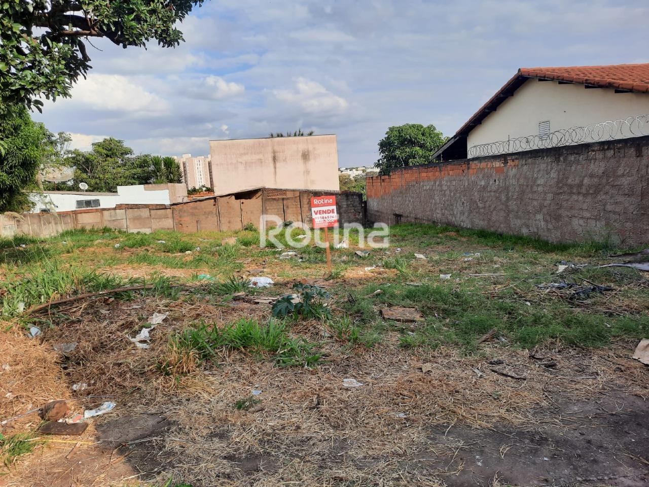 Terreno à venda, em Uberlândia no bairro Lagoinha no valor de R$ 195.000,00 - Rotina Imobiliária: 
