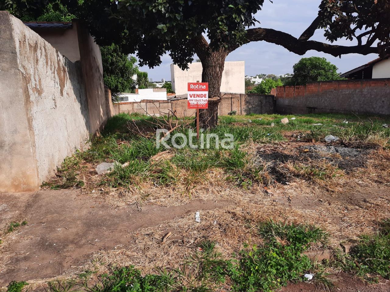 Terreno à venda, em Uberlândia no bairro Lagoinha no valor de R$ 195.000,00 - Rotina Imobiliária: 