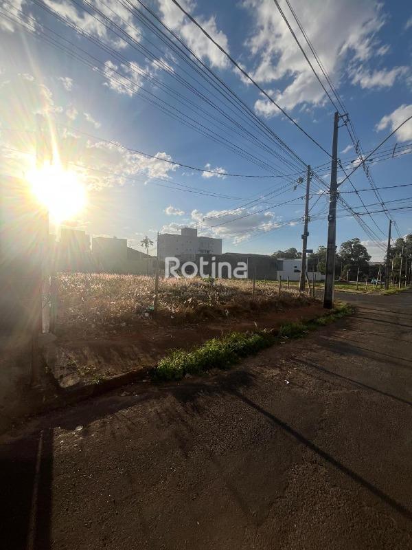 Terreno à venda, em Uberlândia no bairro Santa Mônica no valor de R$ 690.000,00 - Rotina Imobiliária: 