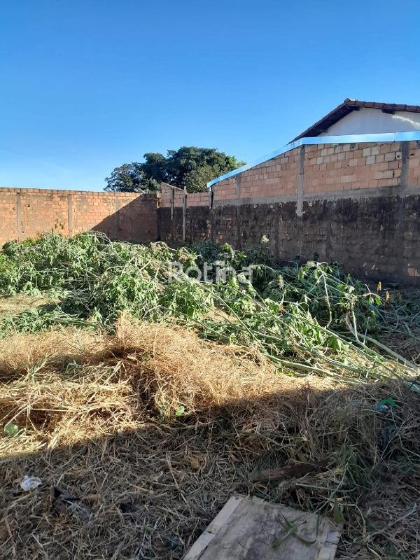 Terreno à venda, em Uberlândia no bairro Aclimação no valor de R$ 160.000,00 - Rotina Imobiliária: 