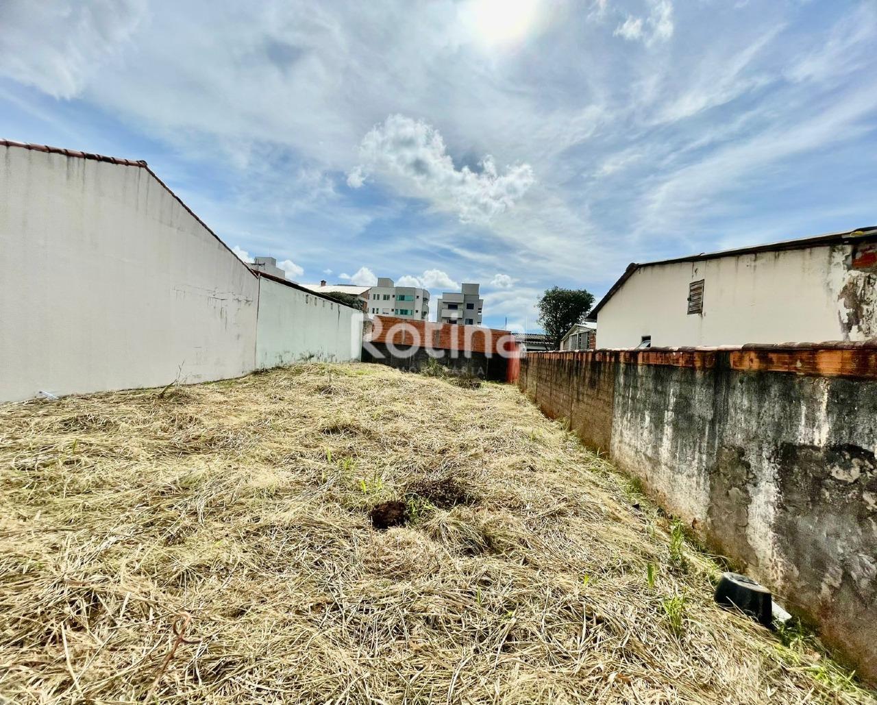 Terreno à venda, em Uberlândia no bairro Santa Mônica no valor de R$ 420.000,00 - Rotina Imobiliária: 