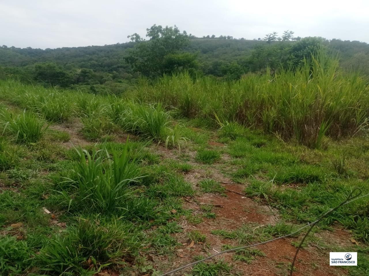 chacara para Comprar em RURAL - Pitangui - Minas Gerais
