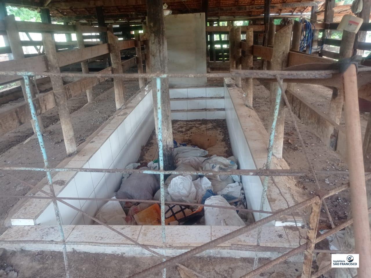 chacara para Comprar em RURAL - Pitangui - Minas Gerais