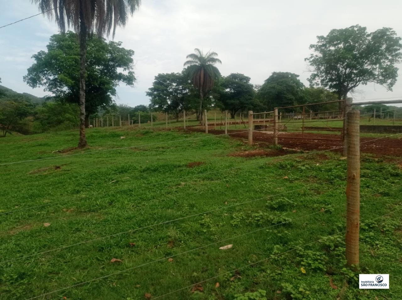 chacara para Comprar em RURAL - Pitangui - Minas Gerais