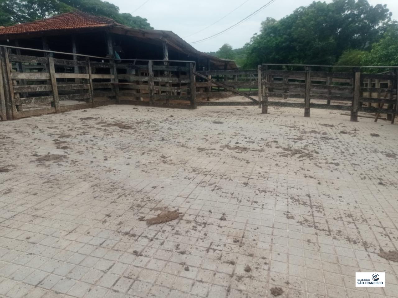 chacara para Comprar em RURAL - Pitangui - Minas Gerais