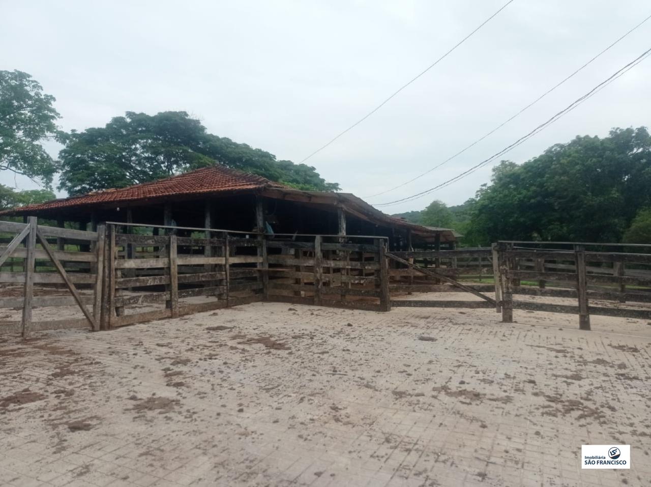 chacara para Comprar em RURAL - Pitangui - Minas Gerais