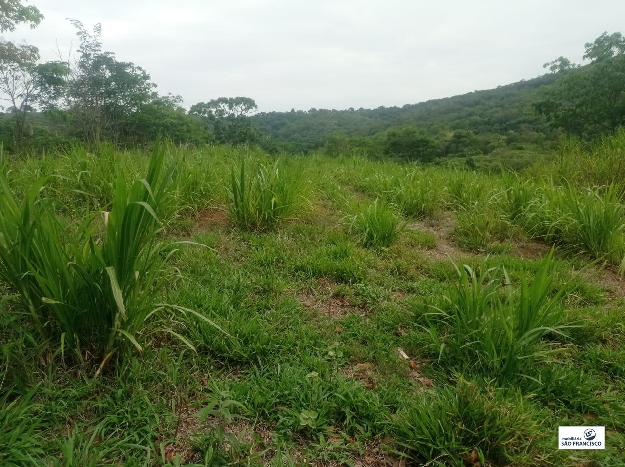 chacara para Comprar em RURAL - Pitangui - Minas Gerais