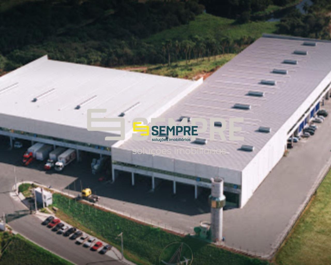 Atown -Ayrton Senna II