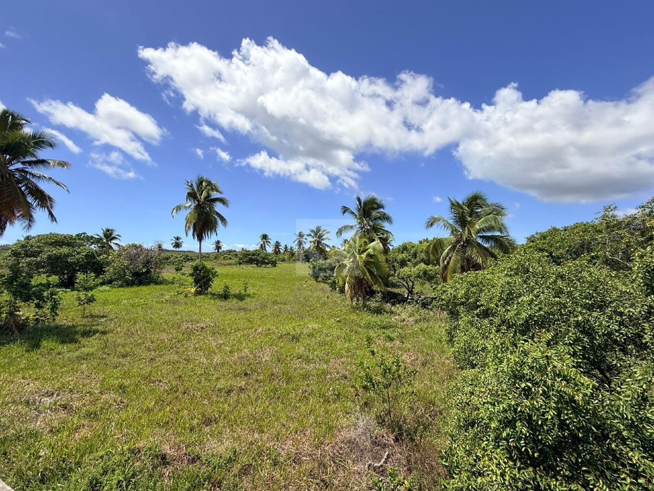 Venda | Casa com piscina, Estância-SE - Foto 29