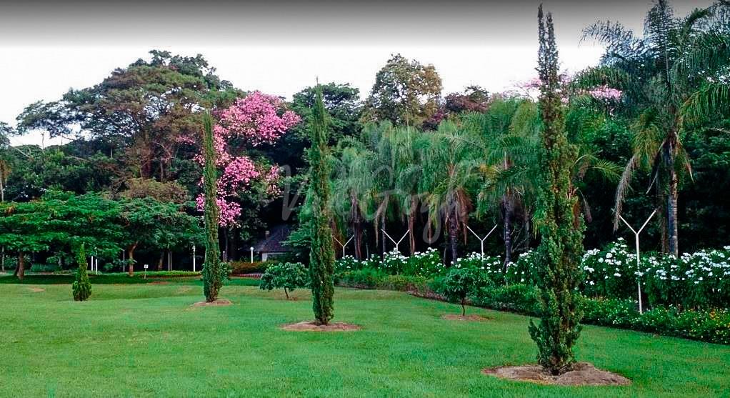 Terreno / Lote / Condomínio  à venda, 530m² — foto 7 de 13