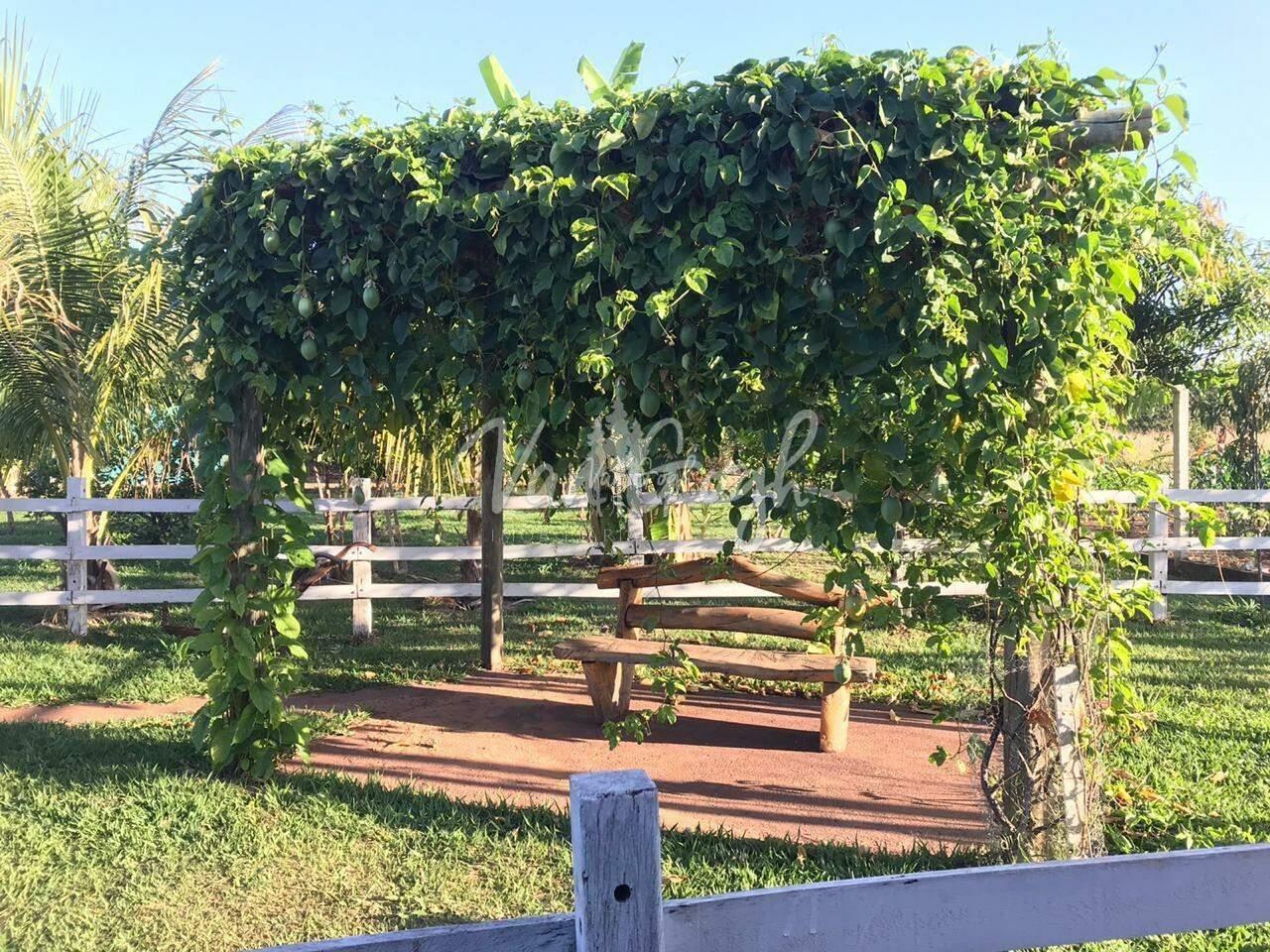 Fazenda / Sítio / Chácara com 1 quarto à venda, 70m² — foto 12 de 13