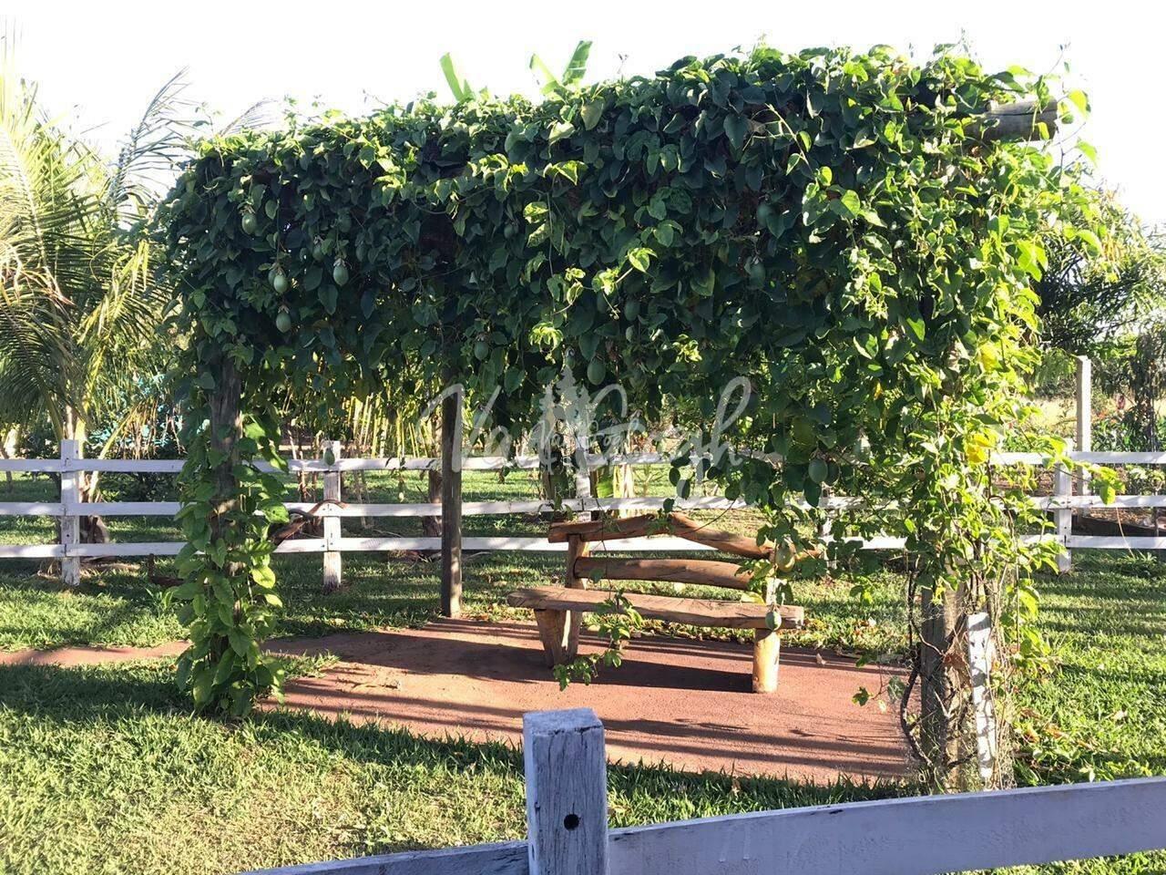 Fazenda / Sítio / Chácara com 1 quarto à venda, 70m² — foto 11 de 13