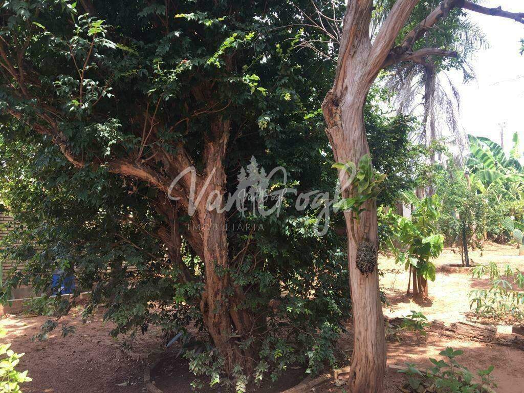 Fazenda / Sítio / Chácara  à venda, 250m² — foto 25 de 30