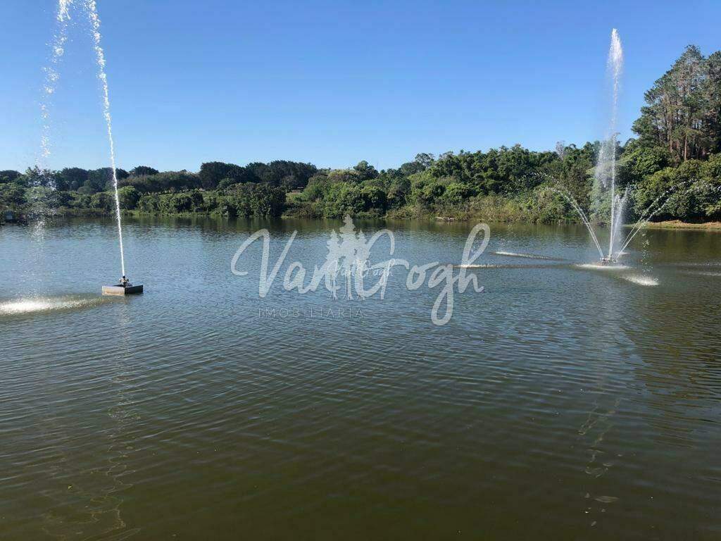 Fazenda / Sítio / Chácara  à venda, 250m² — foto 29 de 30