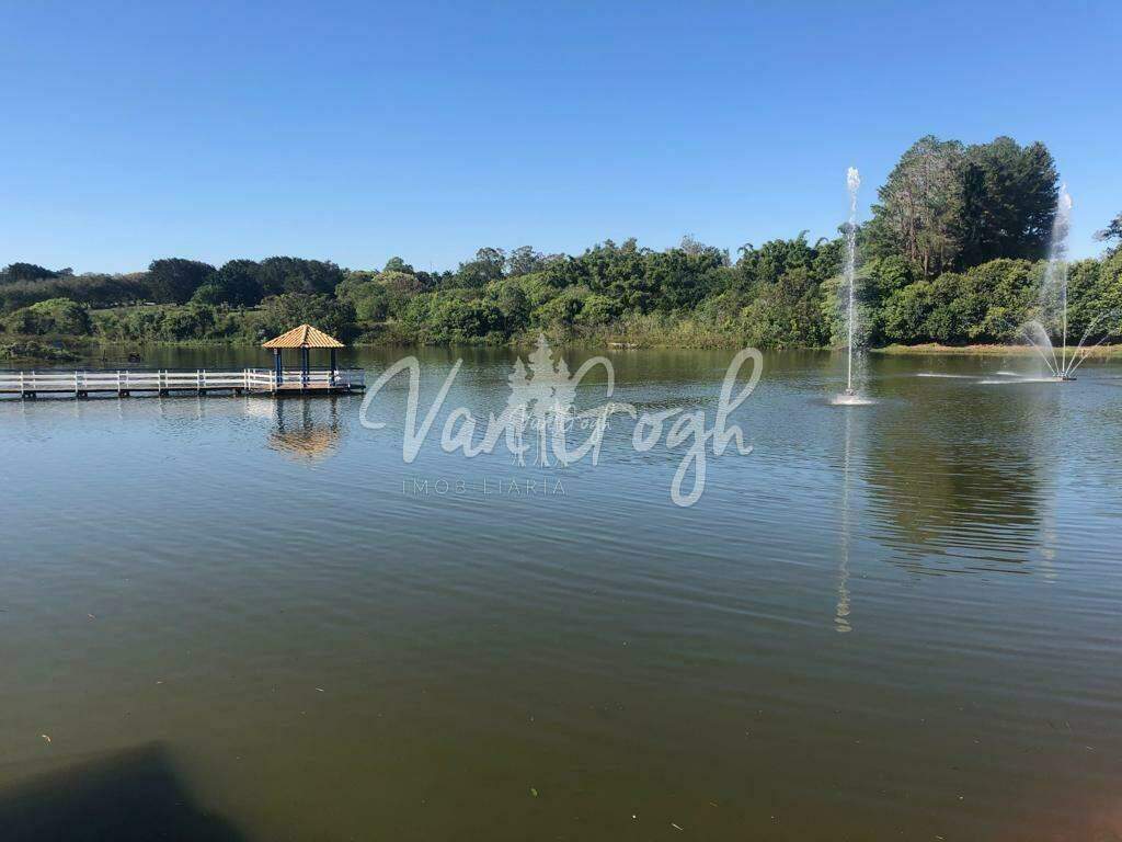 Fazenda / Sítio / Chácara  à venda, 250m² — foto 28 de 30