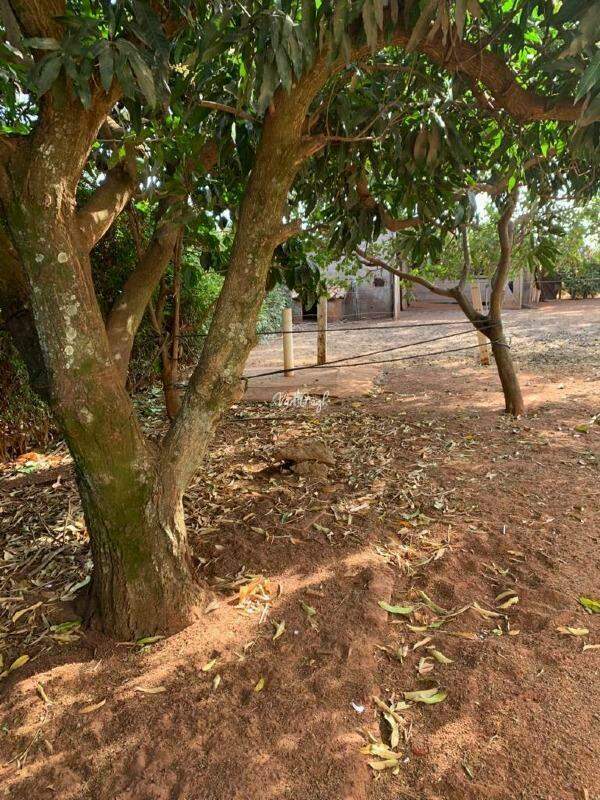 Fazenda / Sítio / Chácara com 4 quartos à venda, 230m² — foto 28 de 28