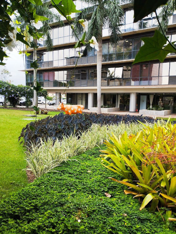 Conjunto Comercial / Sala  para aluguel, 45m² — foto 6 de 7