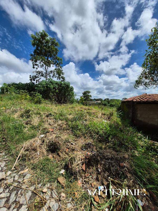 Lote à venda no Santa Lucia : 