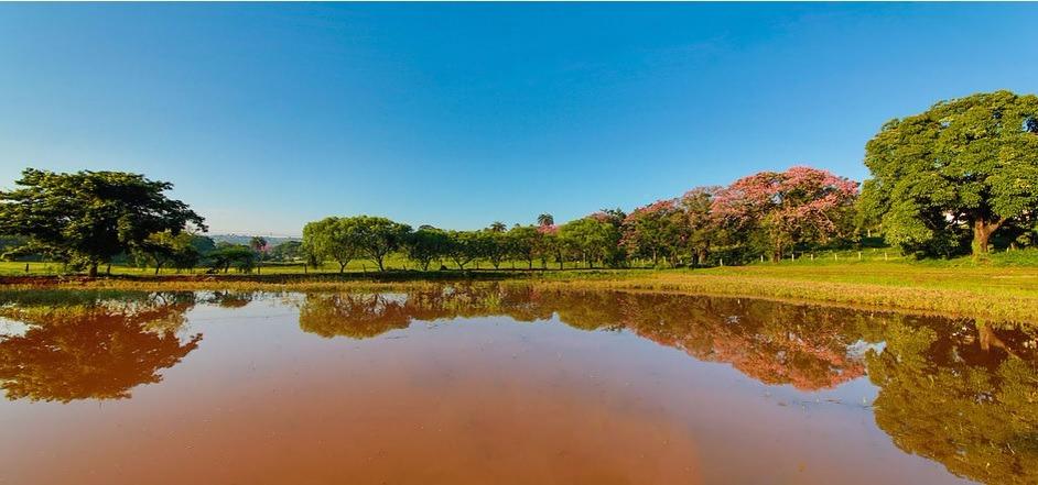 LOTE à venda no COND. GRANJA GLORIA: 