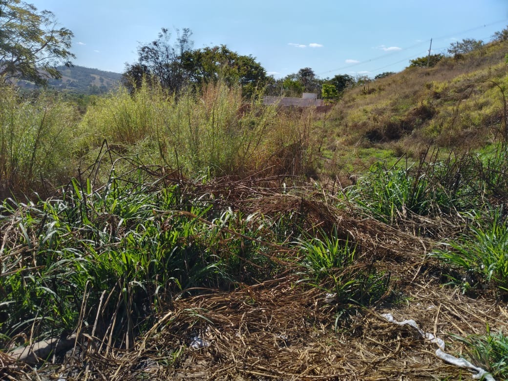 LOTE à venda no JOAO PAULO II: 