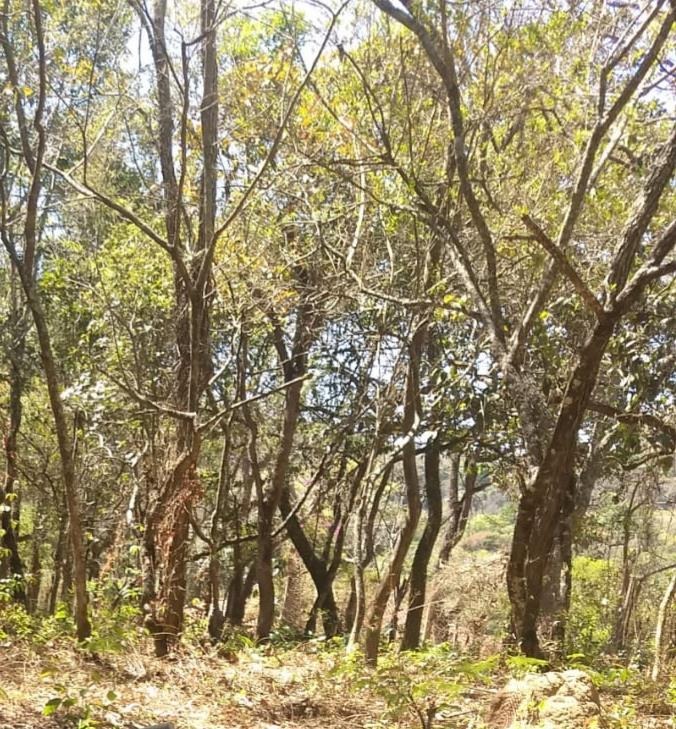 LOTE à venda no COND. VALE DAS FLORES: 