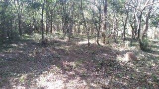 LOTE à venda no COND. VALE DAS FLORES: 