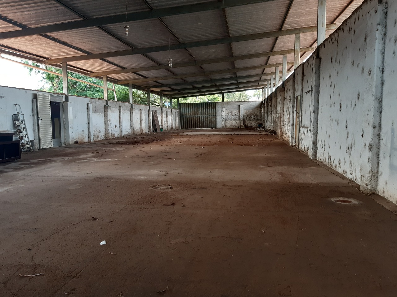 GALPAO para aluguel no CENTRO: 