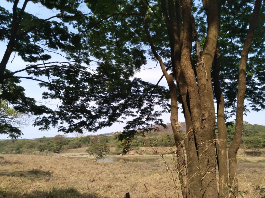 TERRENO à venda no SÃO JOSÉ DE PEDRAS: 