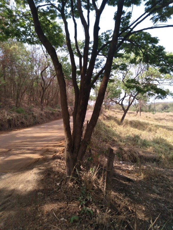 TERRENO à venda no SÃO JOSÉ DE PEDRAS: 