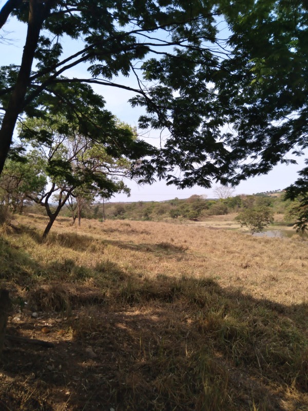 TERRENO à venda no SÃO JOSÉ DE PEDRAS: 