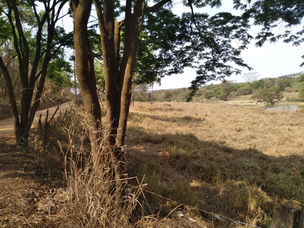 TERRENO à venda no SÃO JOSÉ DE PEDRAS: 