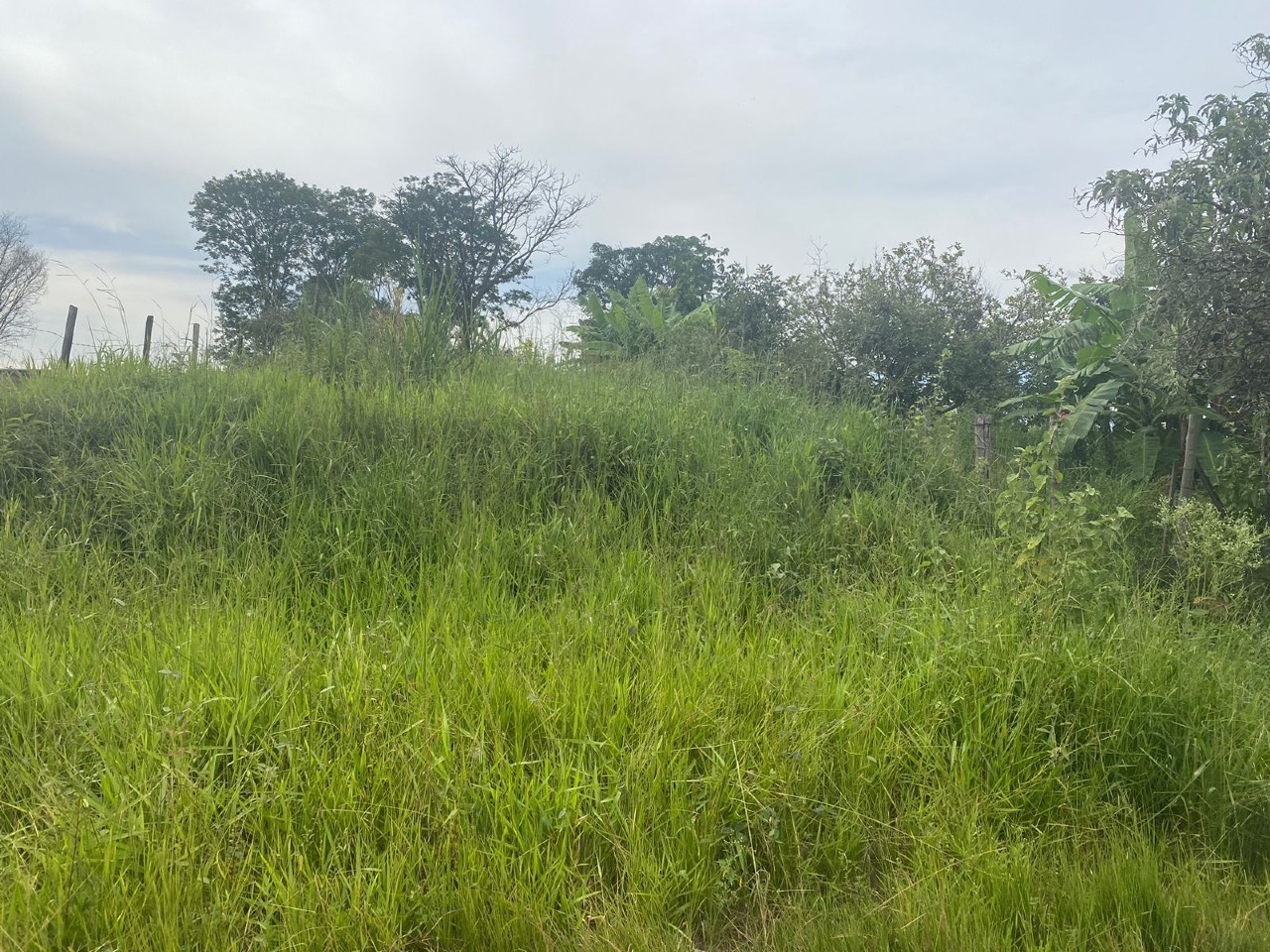 Lote para Comprar em VALE DAS AROEIRAS - ITAUNA - Minas Gerais