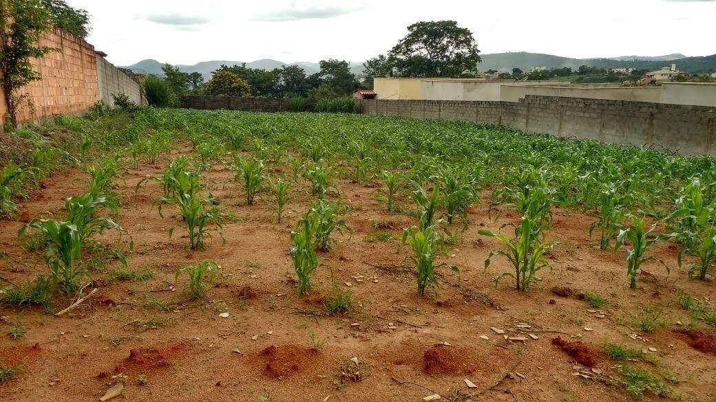 CHACARA à venda no VALE DAS AROEIRAS: 