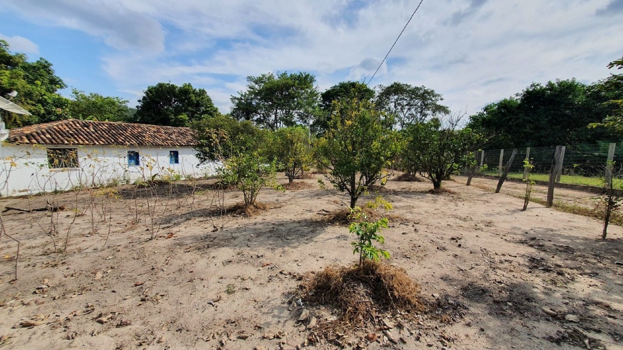SITIO à venda no PAULAS (ZONA RURAL): 