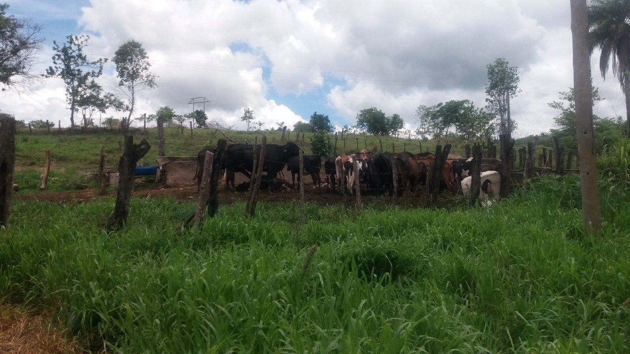 FAZENDA à venda no ZONA RURAL: 