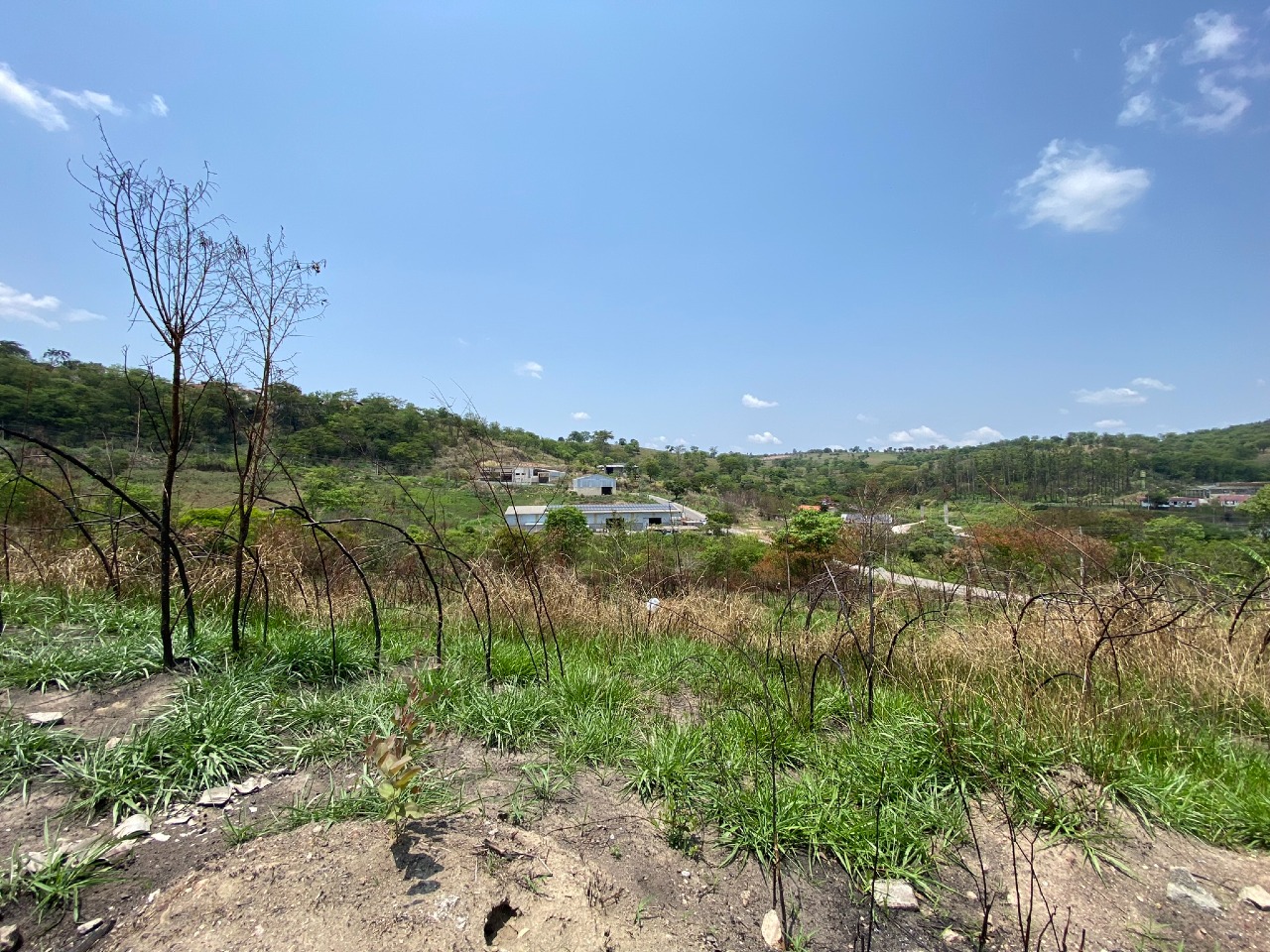 LOTE à venda no JOAO PAULO II: 