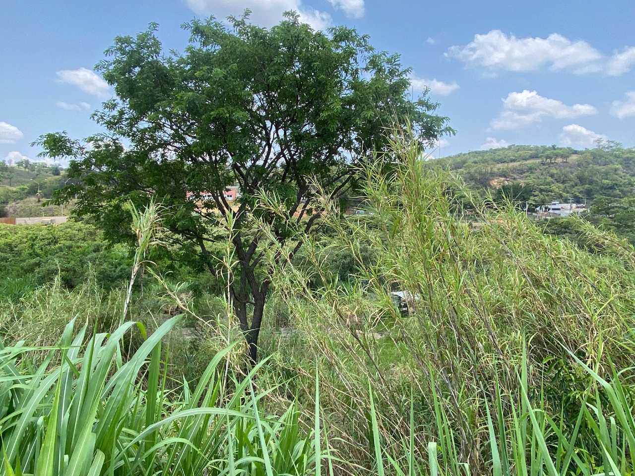 LOTE à venda no JOAO PAULO II: 