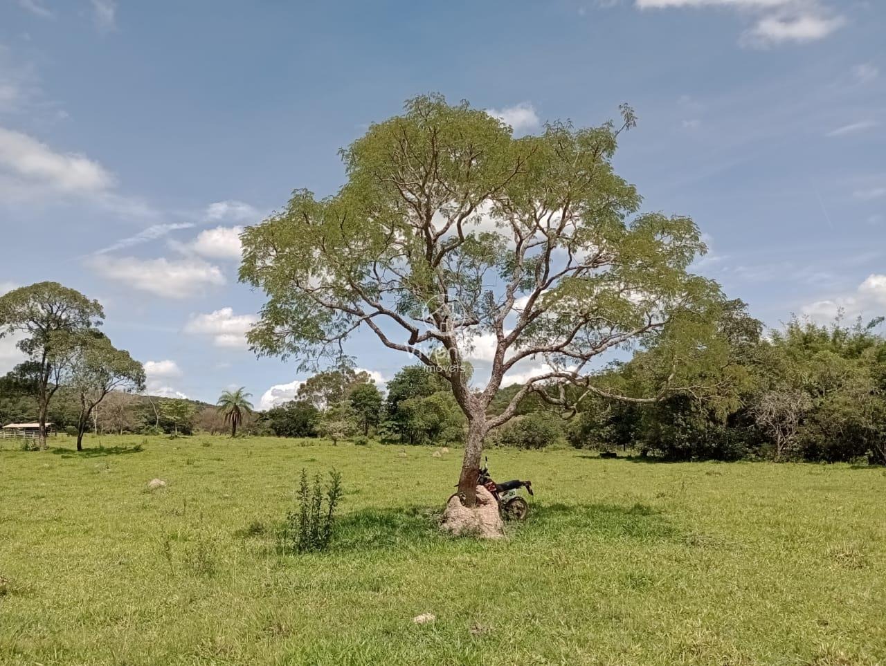 FAZENDA à venda no ZONA RURAL: 