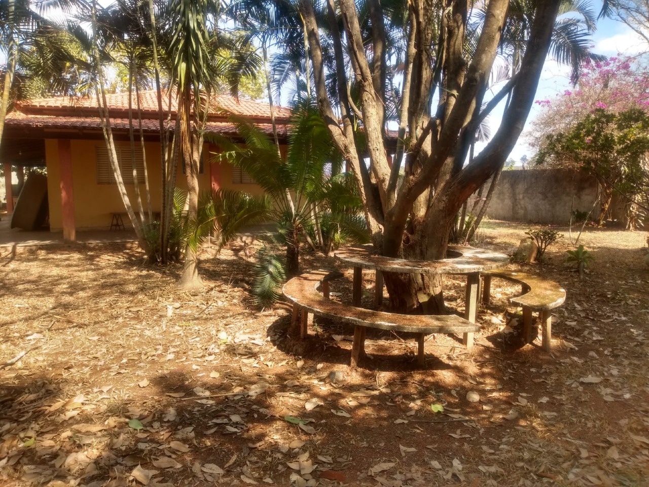 CHACARA à venda no BREJO ALEGRE (ZONA RURAL): 