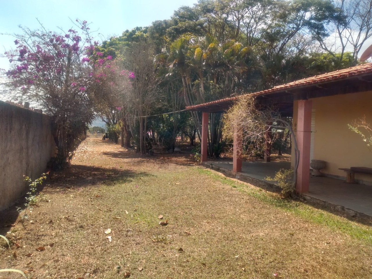 CHACARA à venda no BREJO ALEGRE (ZONA RURAL): 