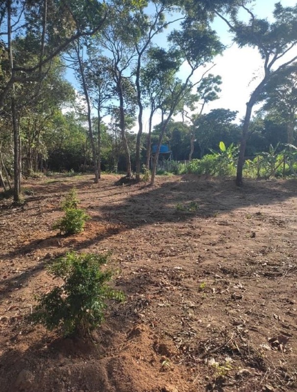 CHACARA à venda no Centro: 