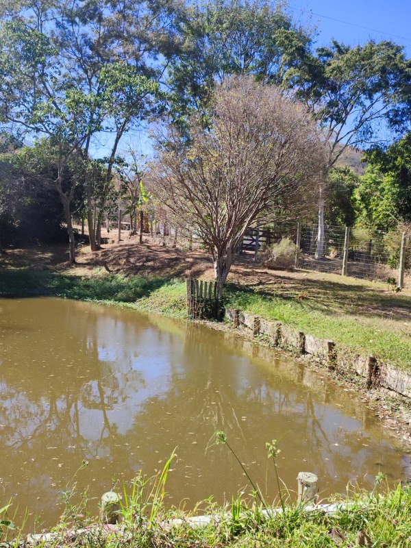 SITIO à venda no PAULAS (ZONA RURAL): 